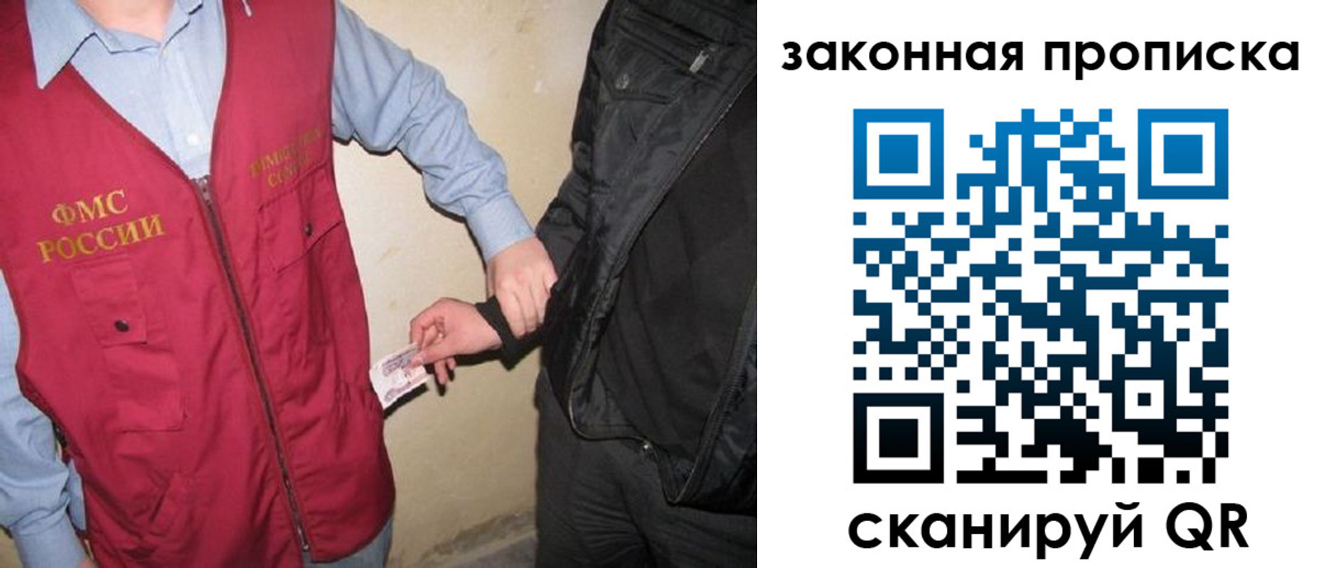 прописка для школы в Сертолово